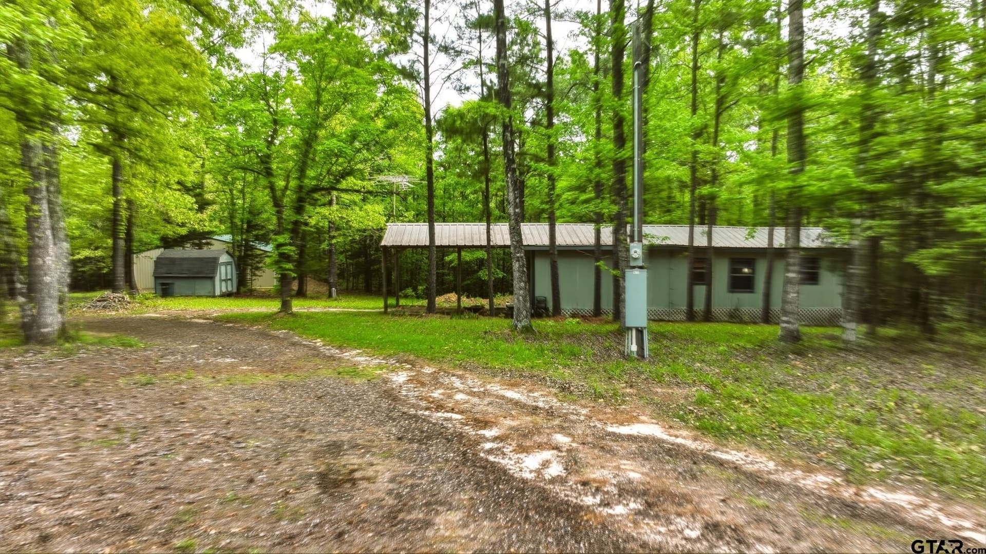 25 acres in Cass County gallery image 2