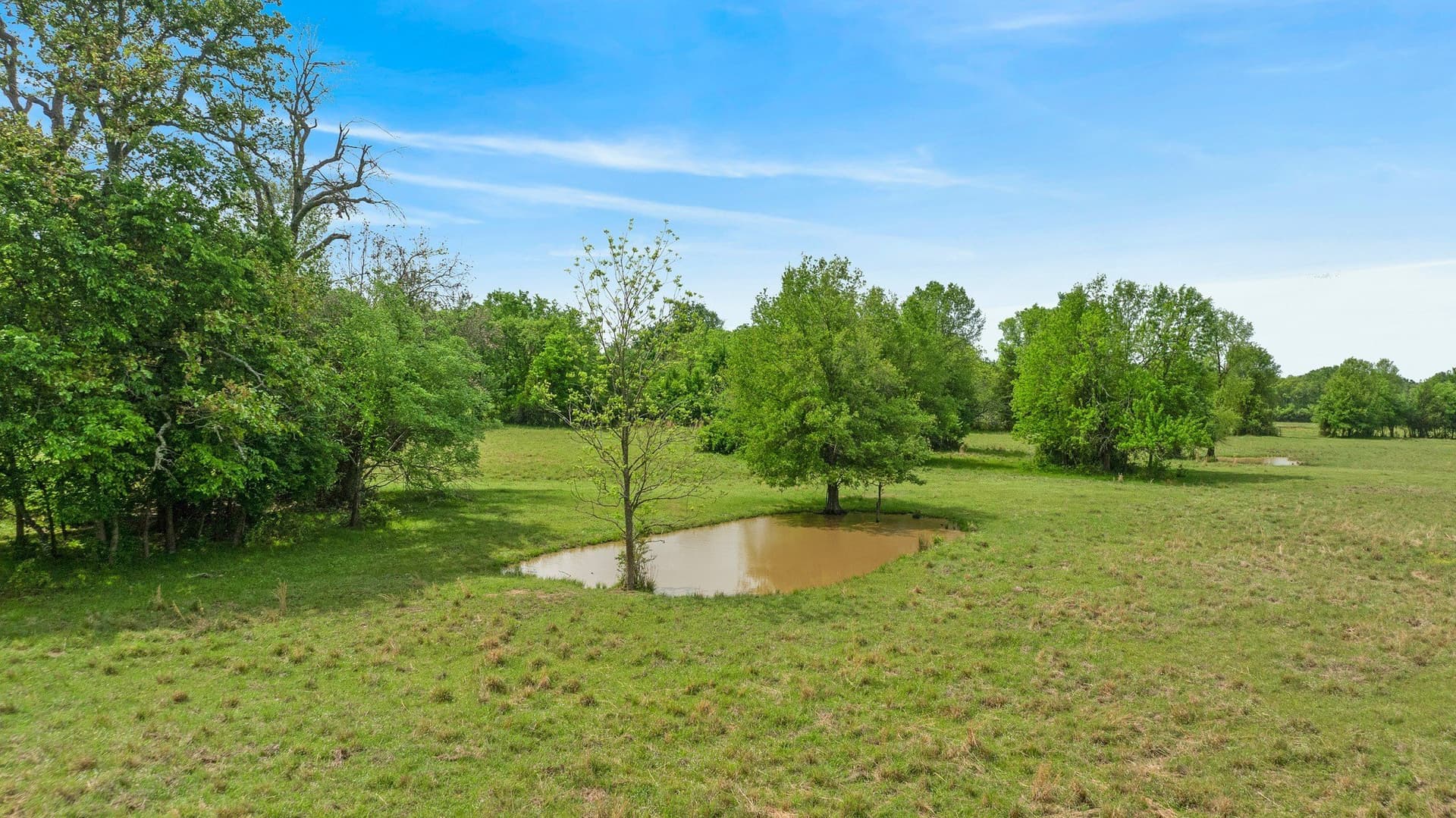 50.65 acres in Red River (TX) County - photo 14