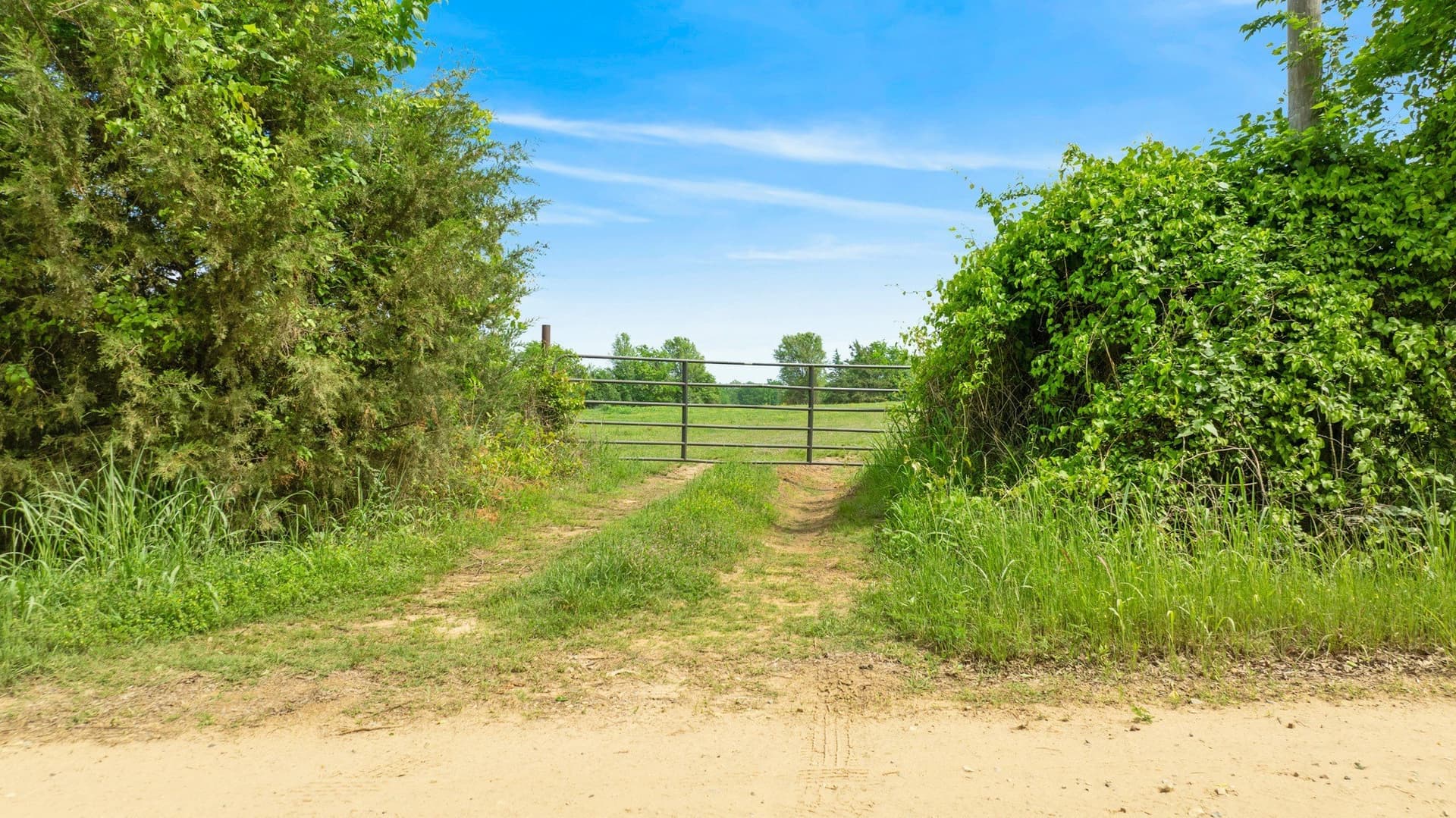 50.65 acres in Red River (TX) County - photo 16
