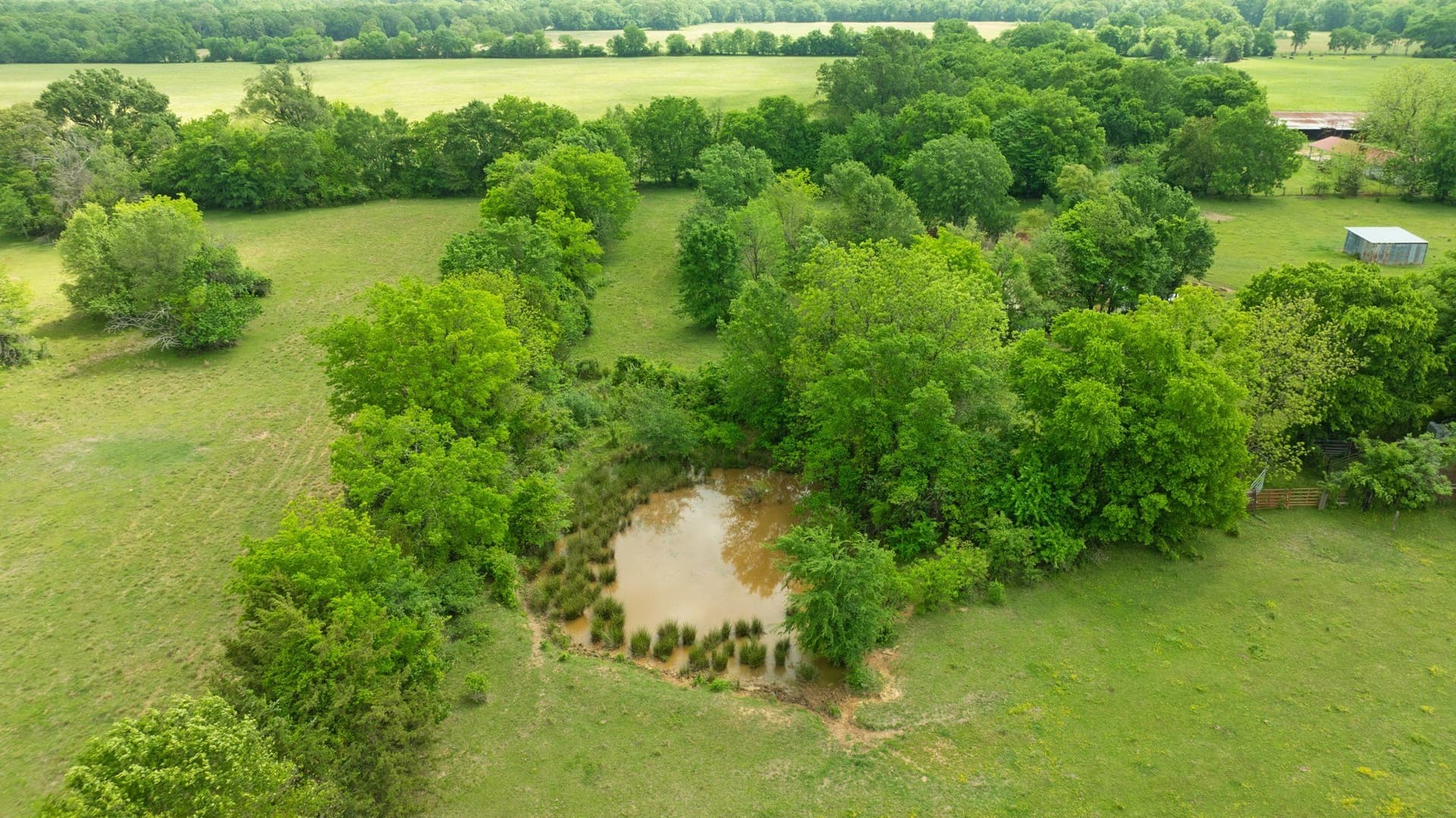 50.65 acres in Red River (TX) County - photo 6