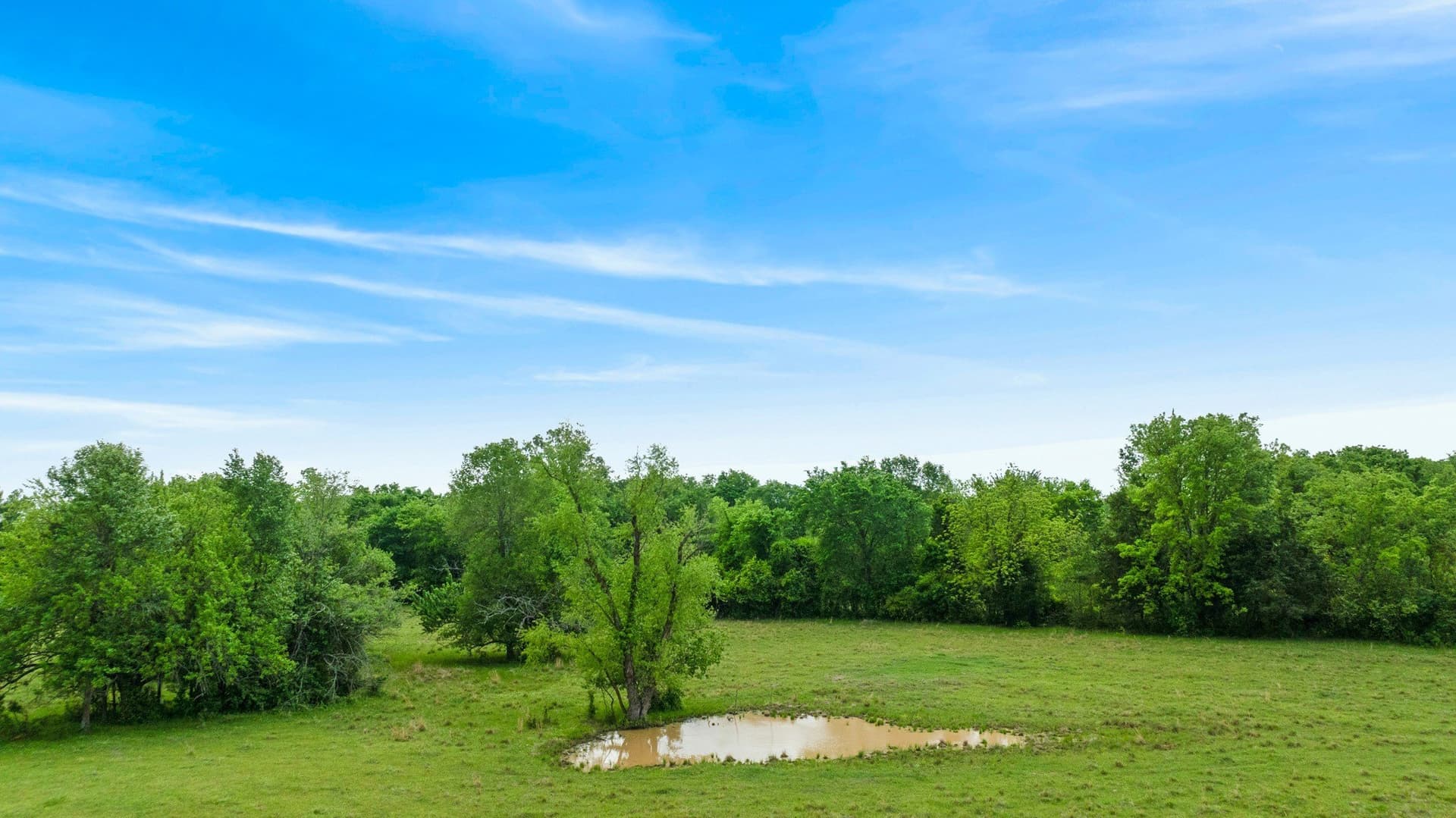 50.65 acres in Red River (TX) County - photo 20