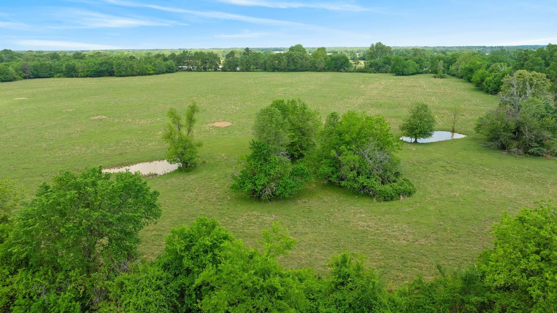 50.65 acres in Red River (TX) County - photo 30