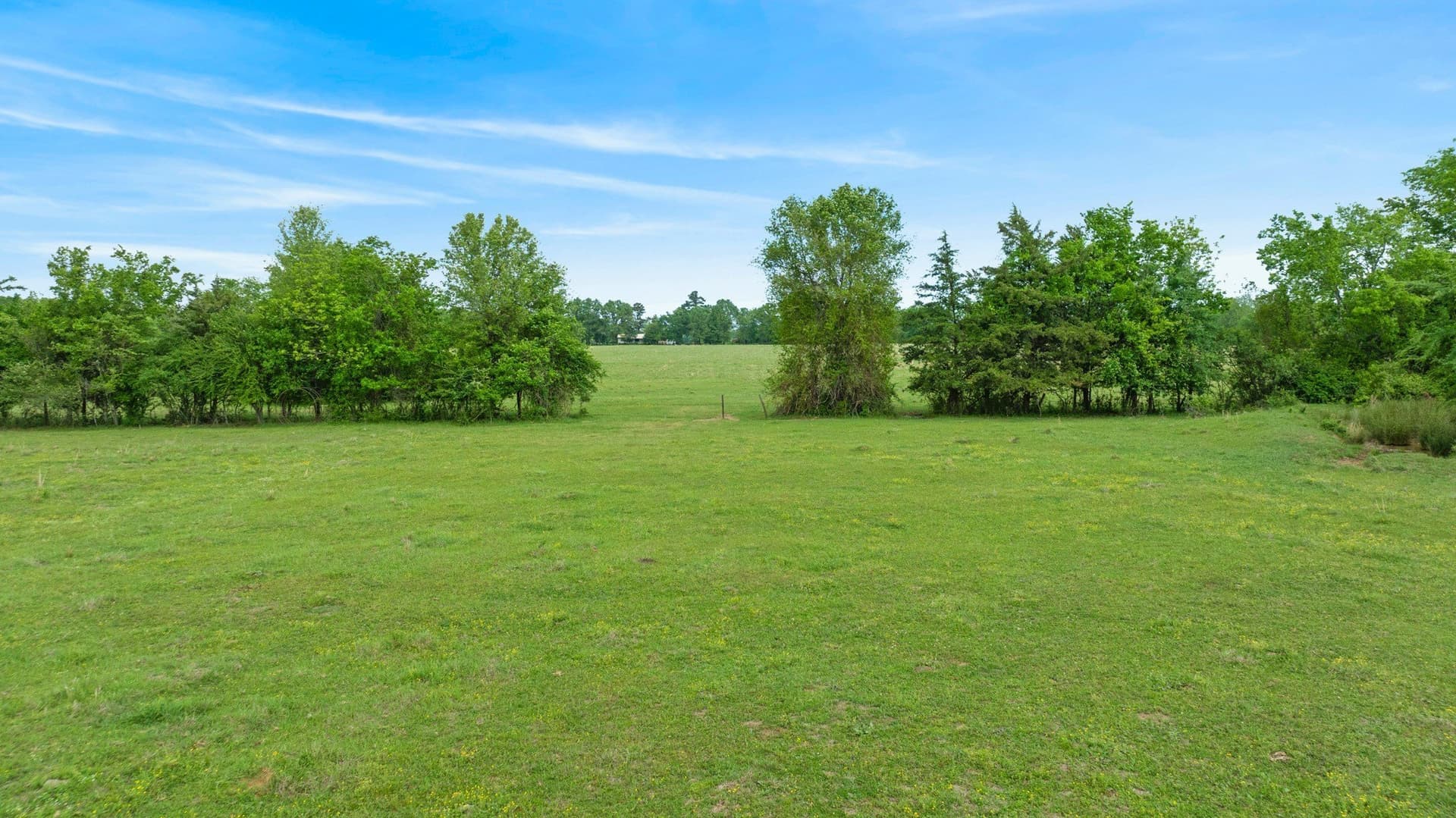 50.65 acres in Red River (TX) County - photo 23