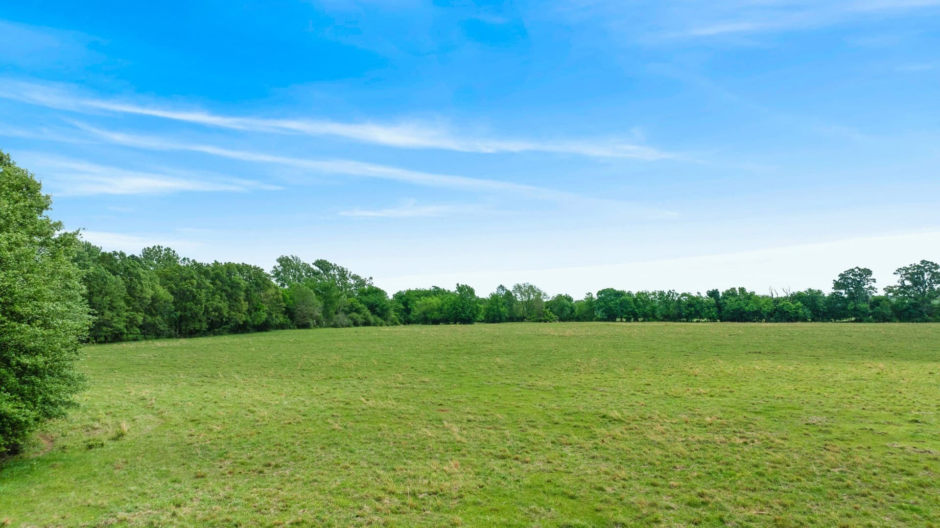 50.65 acres in Red River (TX) County - photo 18