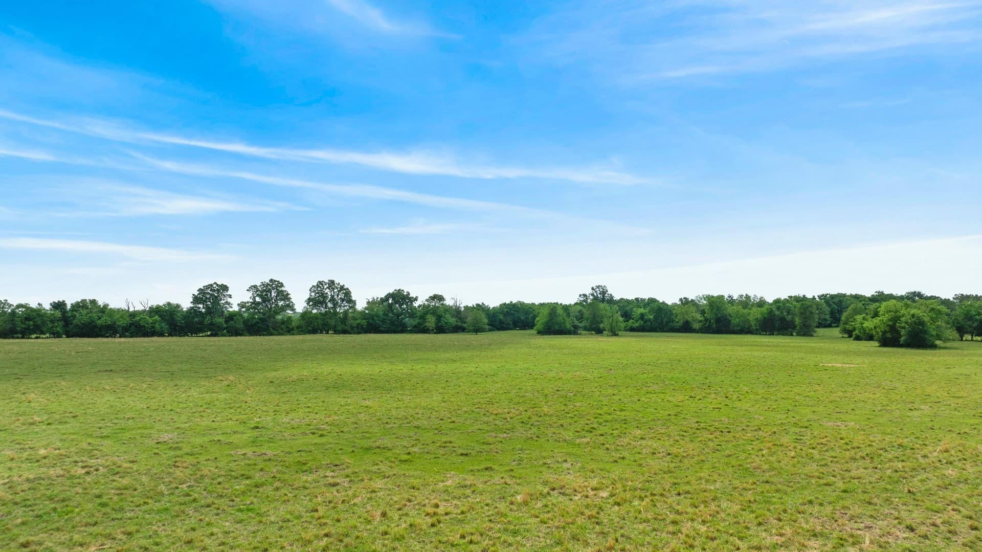 50.65 acres in Red River (TX) County - photo 19