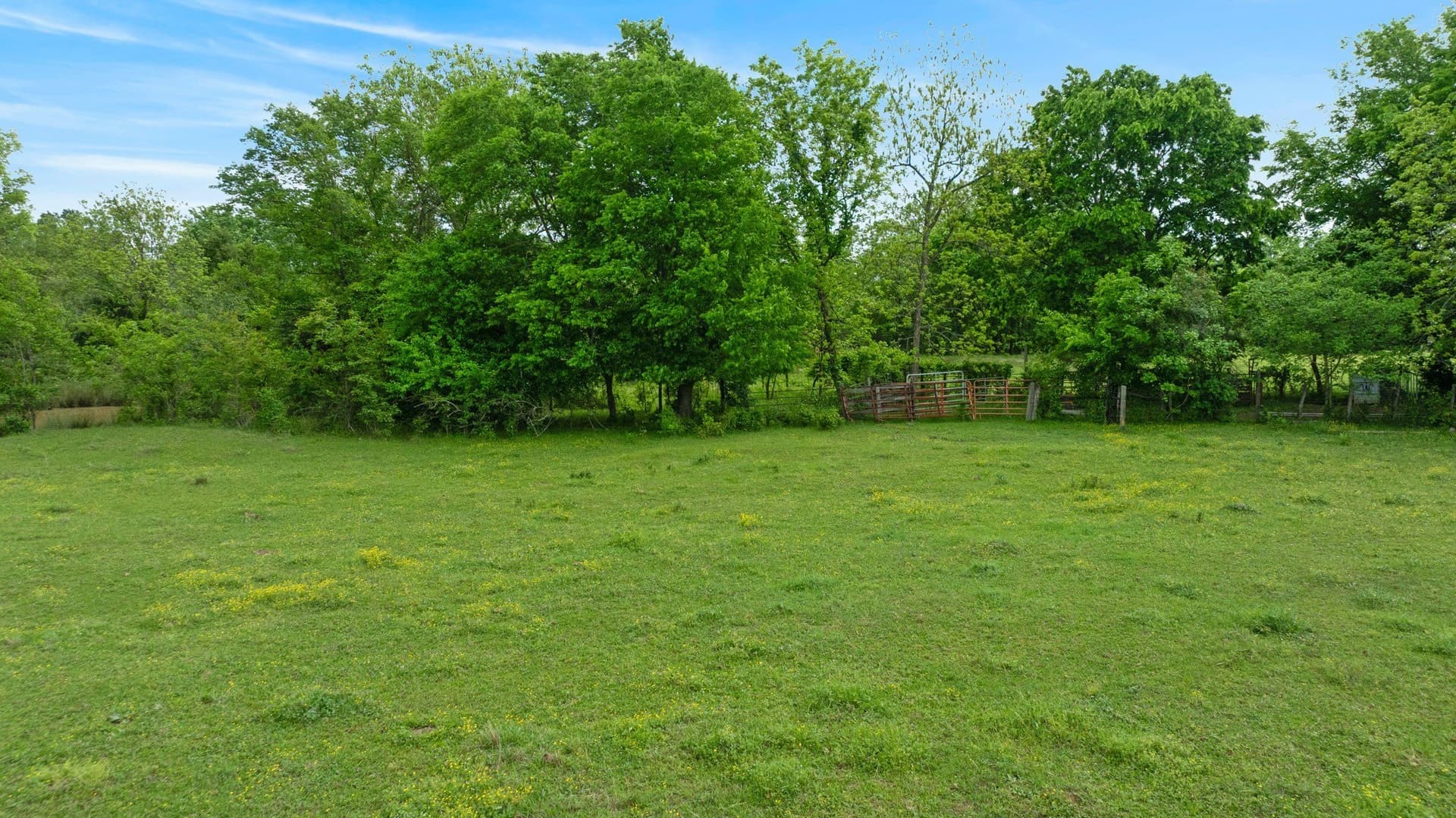 50.65 acres in Red River (TX) County - photo 22