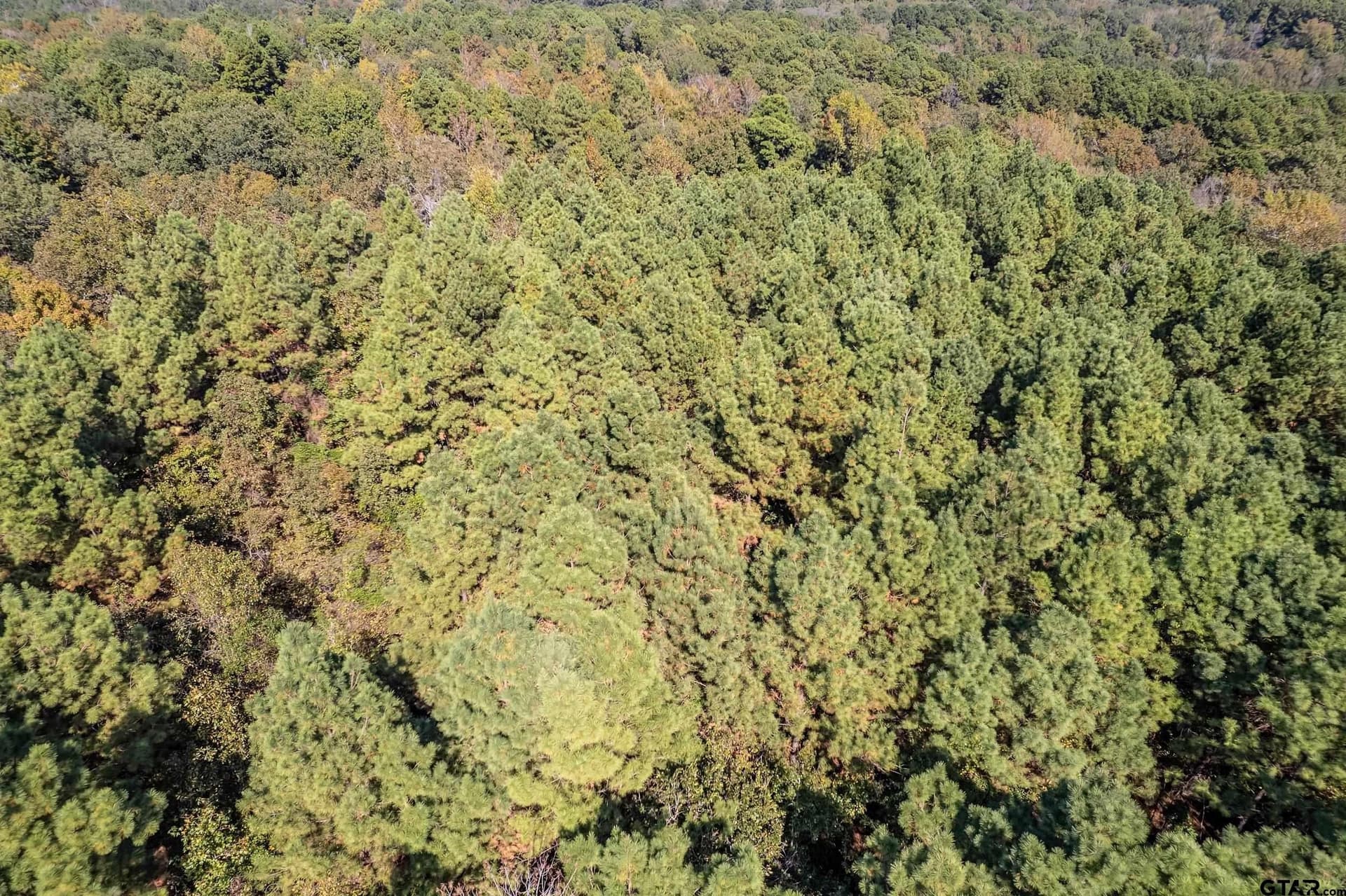 29 acres in Smith County - photo 6