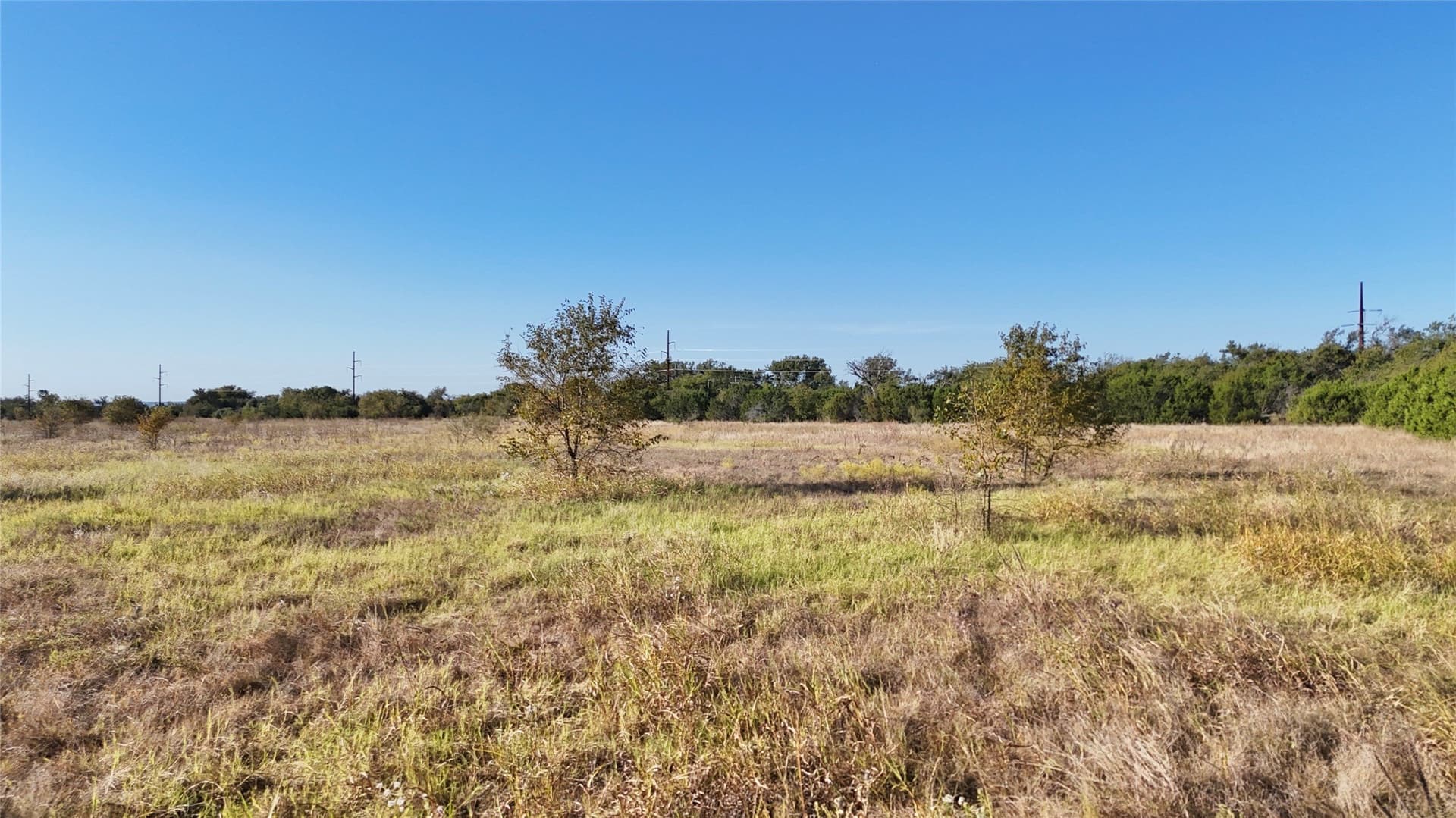 20 acres in Bosque County gallery image 4