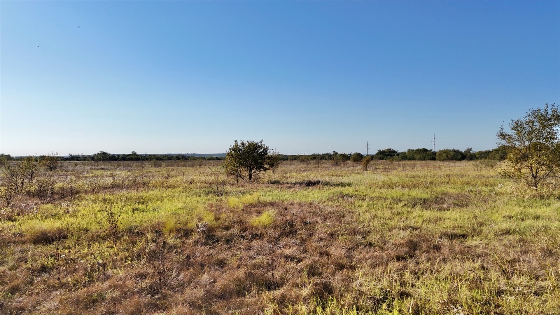 20 acres in Bosque County gallery image 3