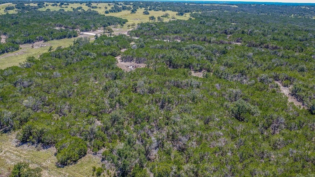 10.5 acres in Gillespie County gallery image 4