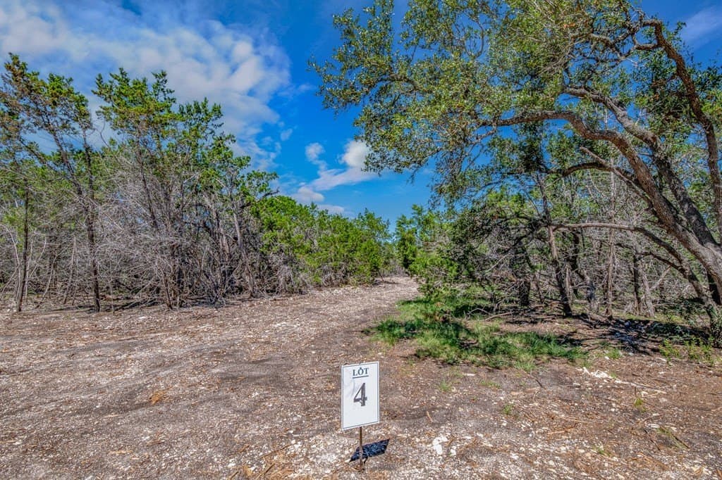 10.5 acres in Gillespie County gallery image 2