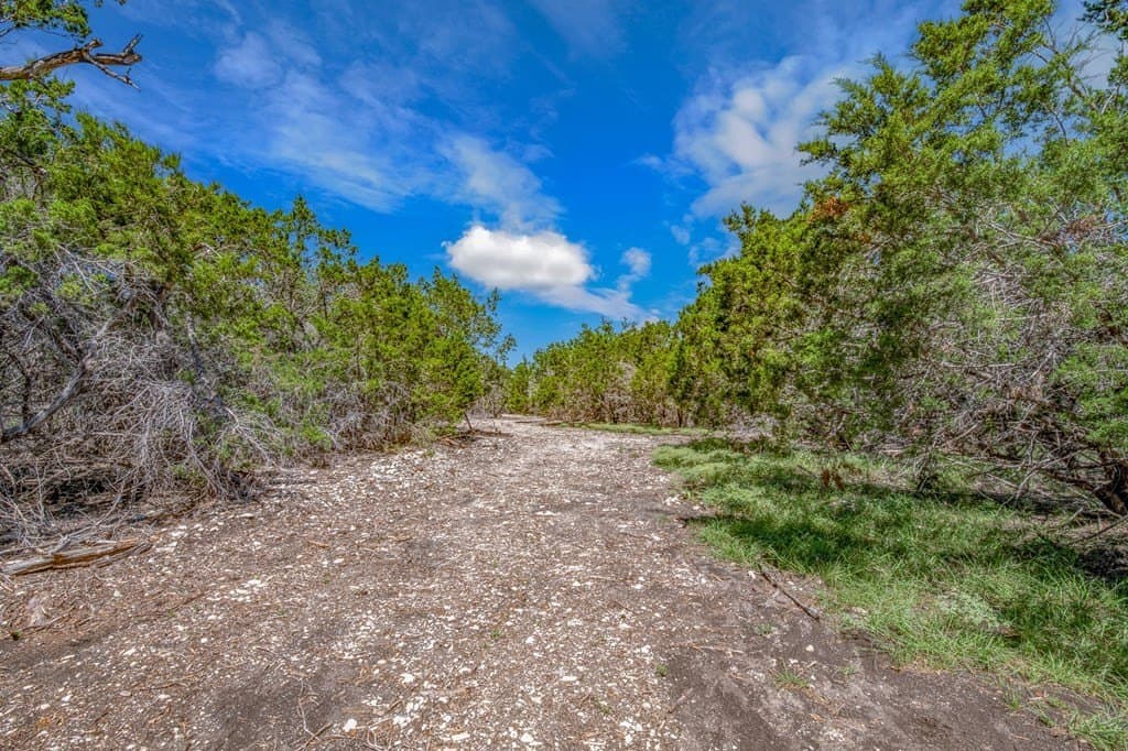 10.5 acres in Gillespie County gallery image 3