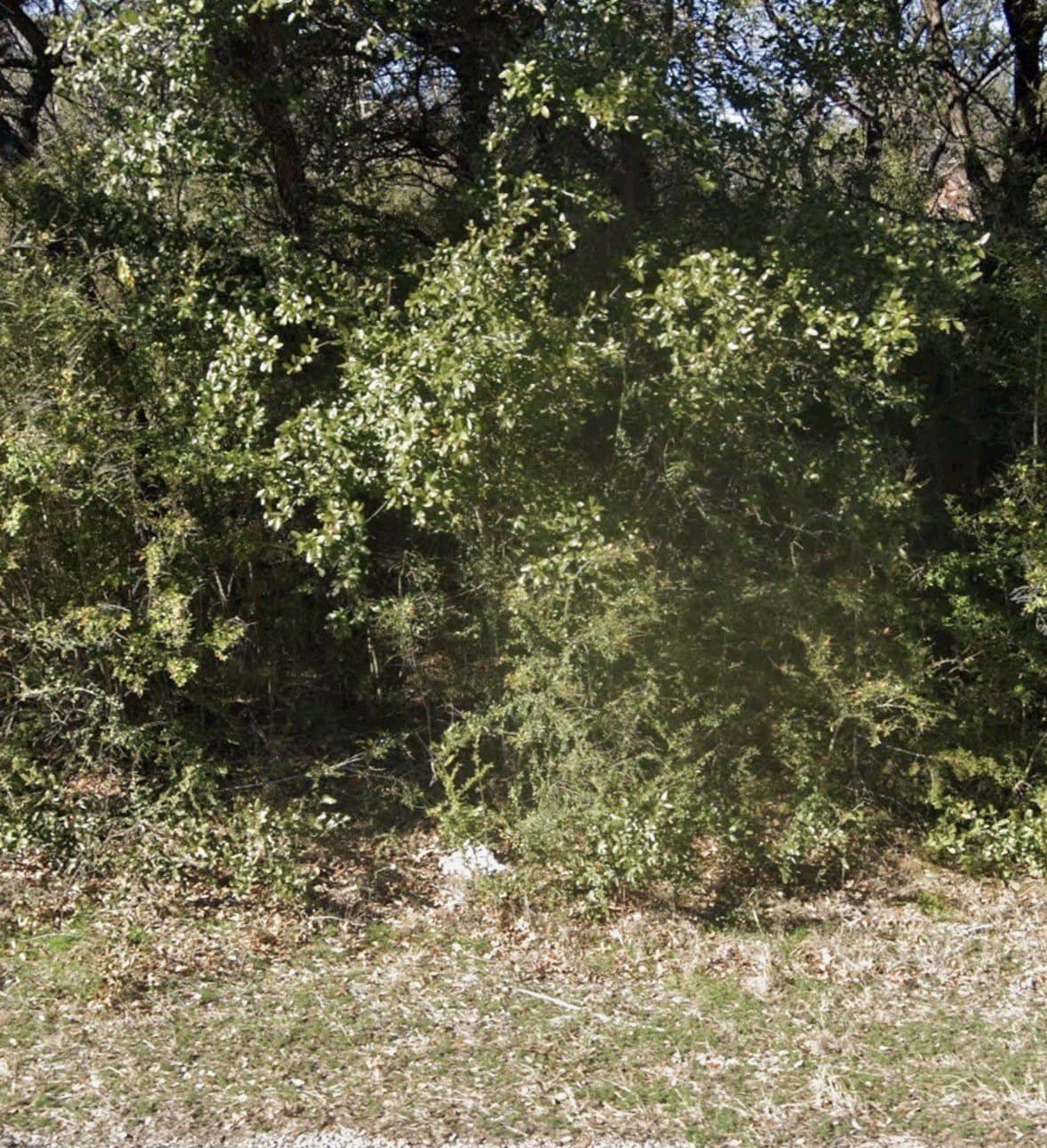0.03 acres in Hood County - photo 2