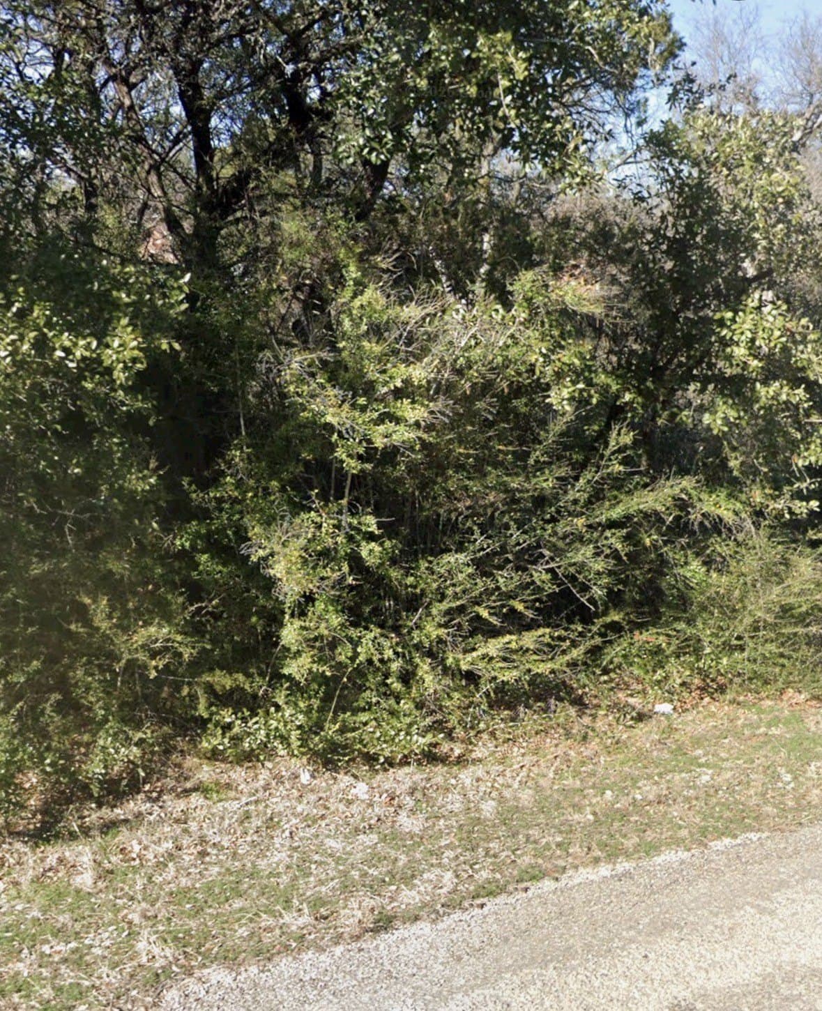 0.03 acres in Hood County - photo 3
