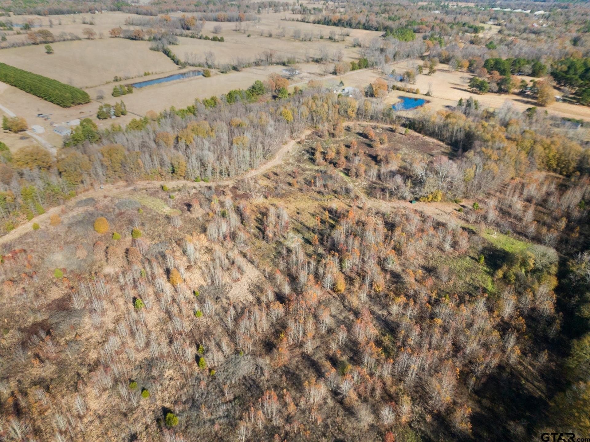 51 acres in Camp County - photo 14