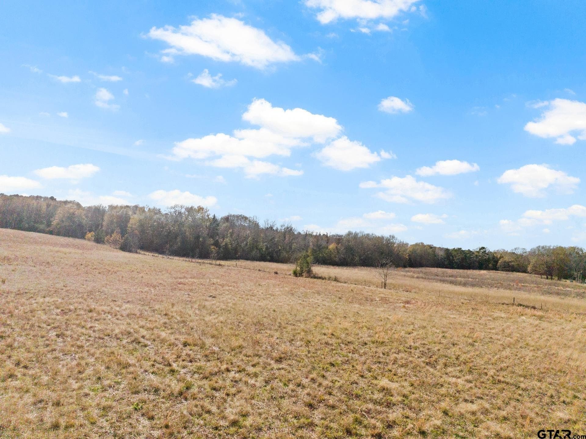 51 acres in Camp County - photo 12