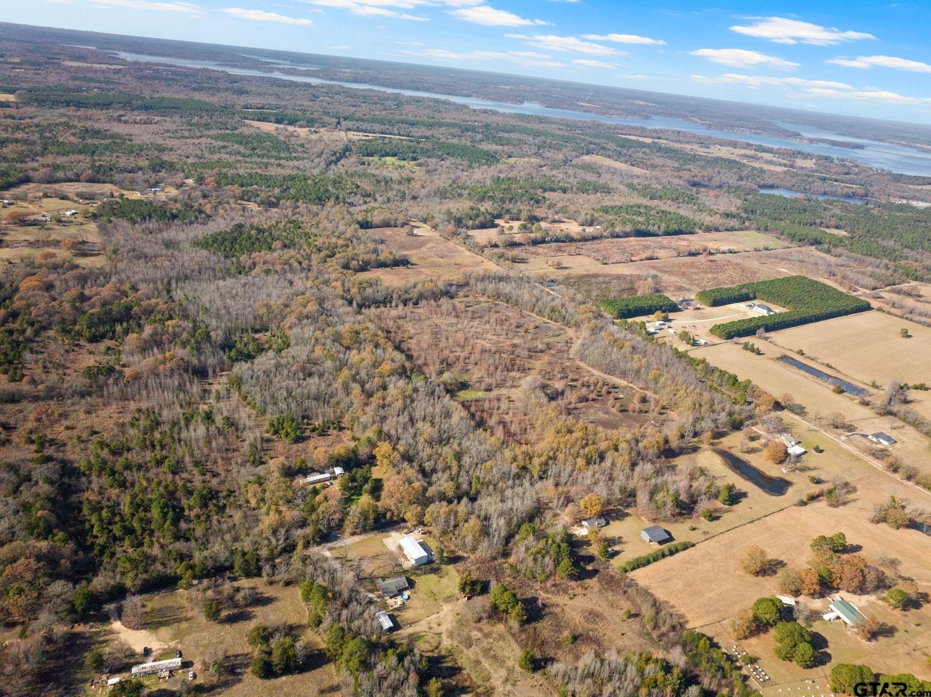 51 acres in Camp County gallery image 2