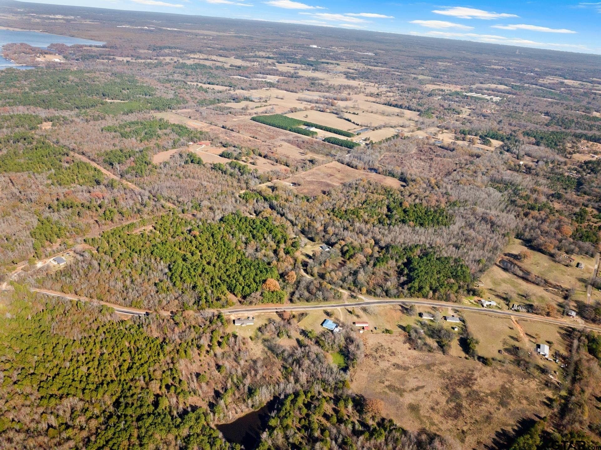 51 acres in Camp County gallery image 4