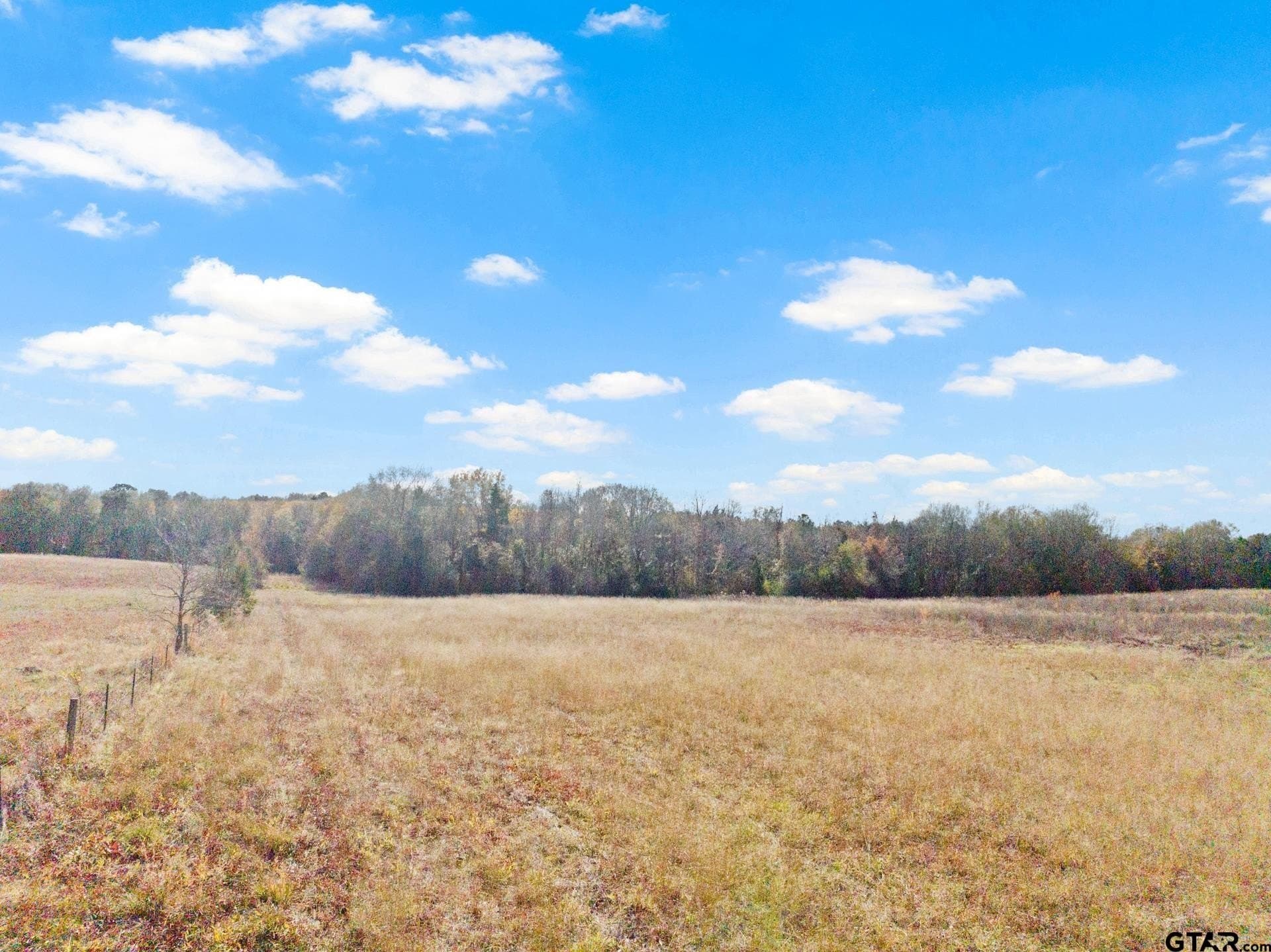 51 acres in Camp County - photo 9