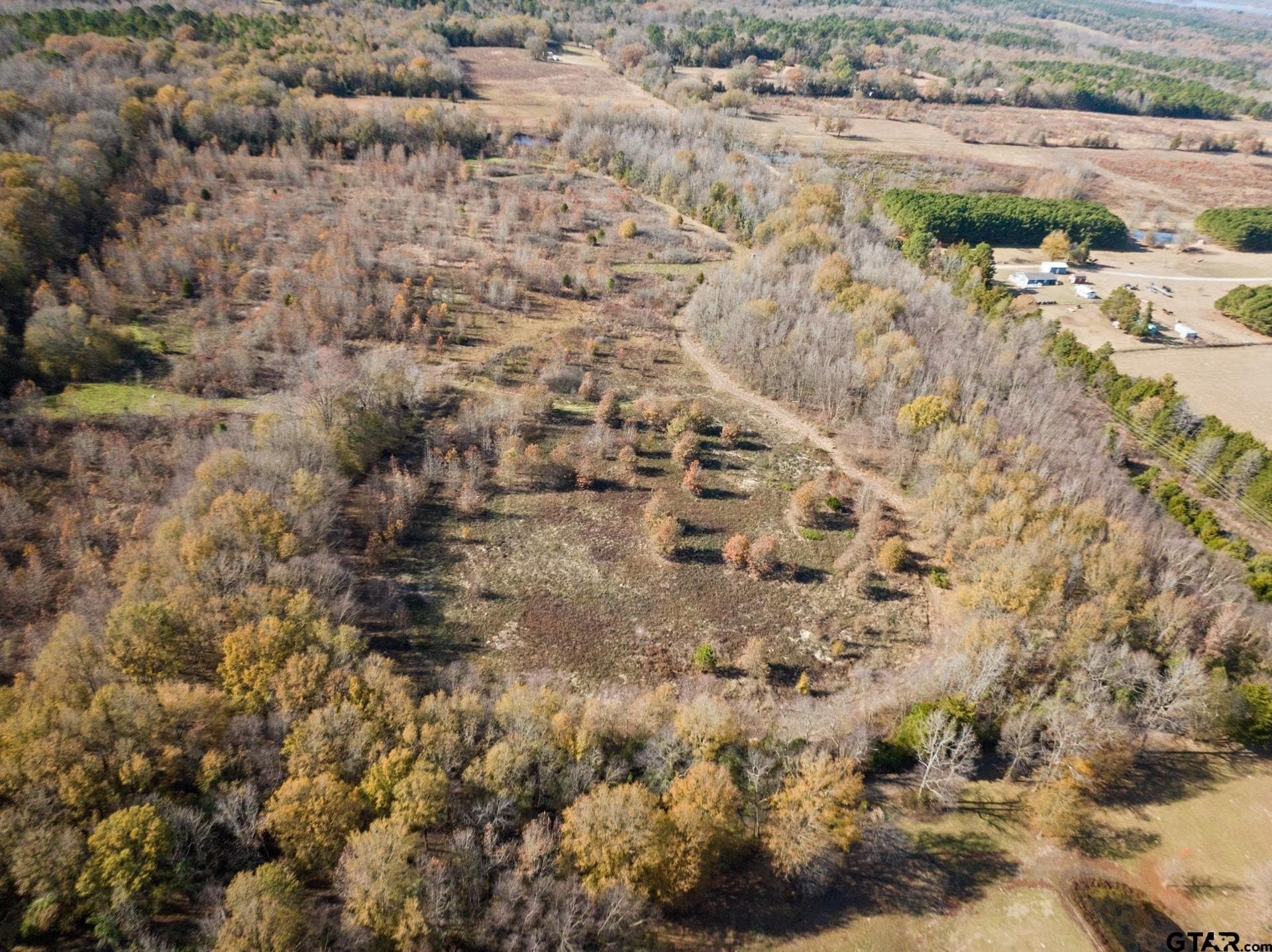 51 acres in Camp County - photo 13