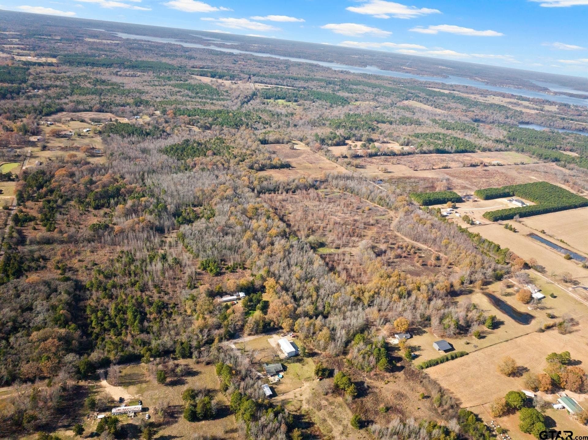 51 acres in Camp County gallery image 3