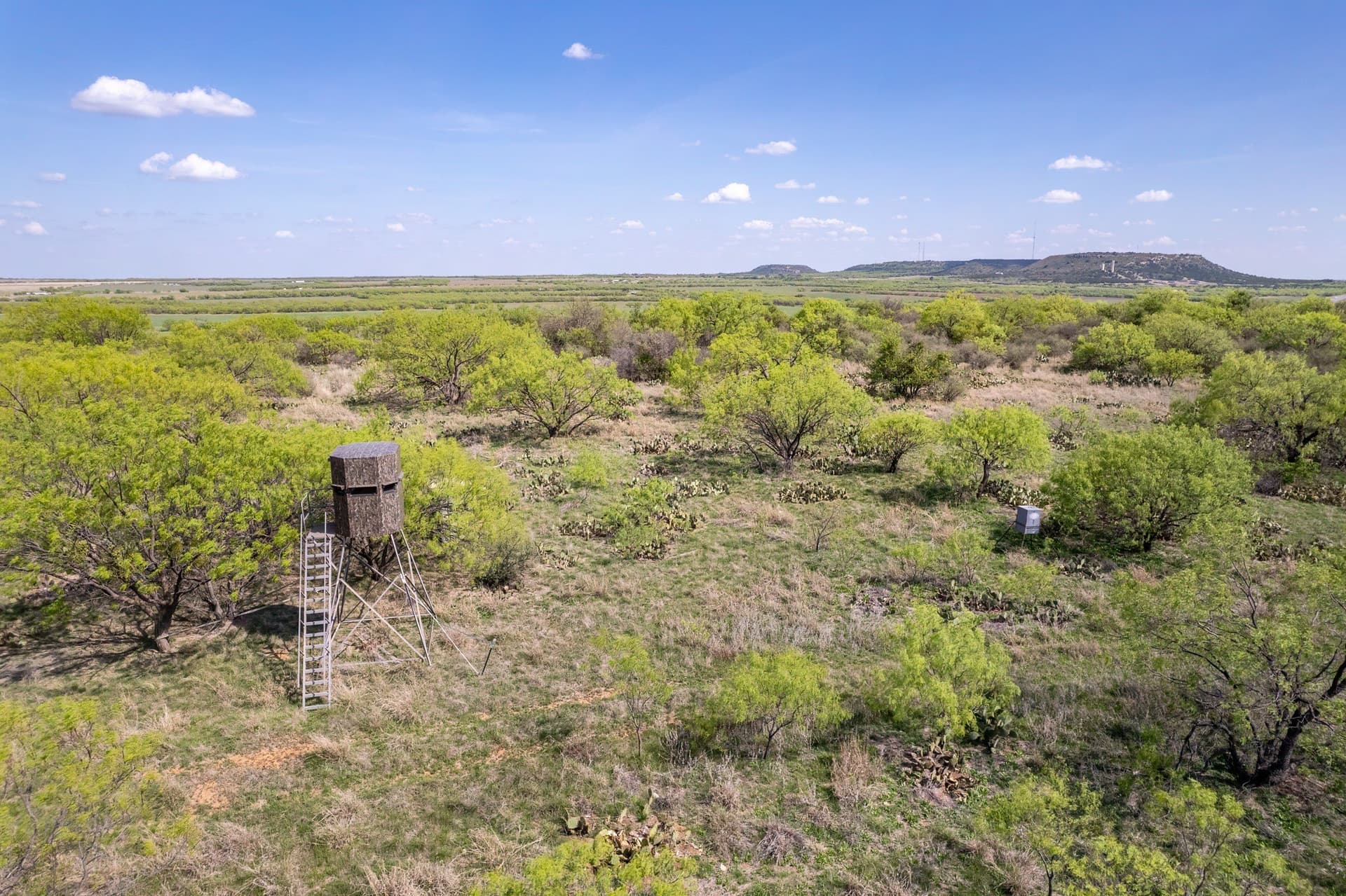 55 acres in Coleman County - photo 7