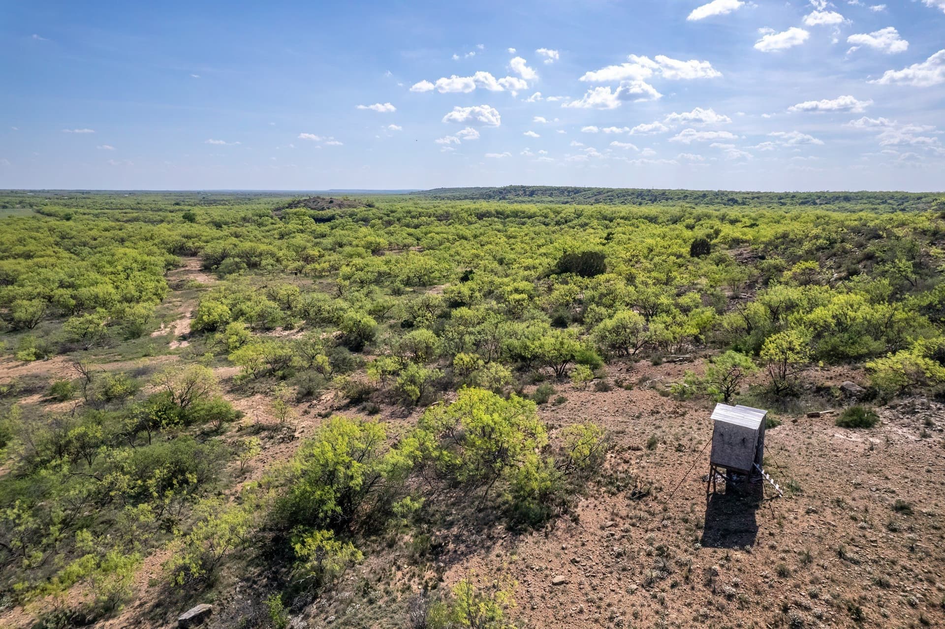 55 acres in Coleman County - photo 8