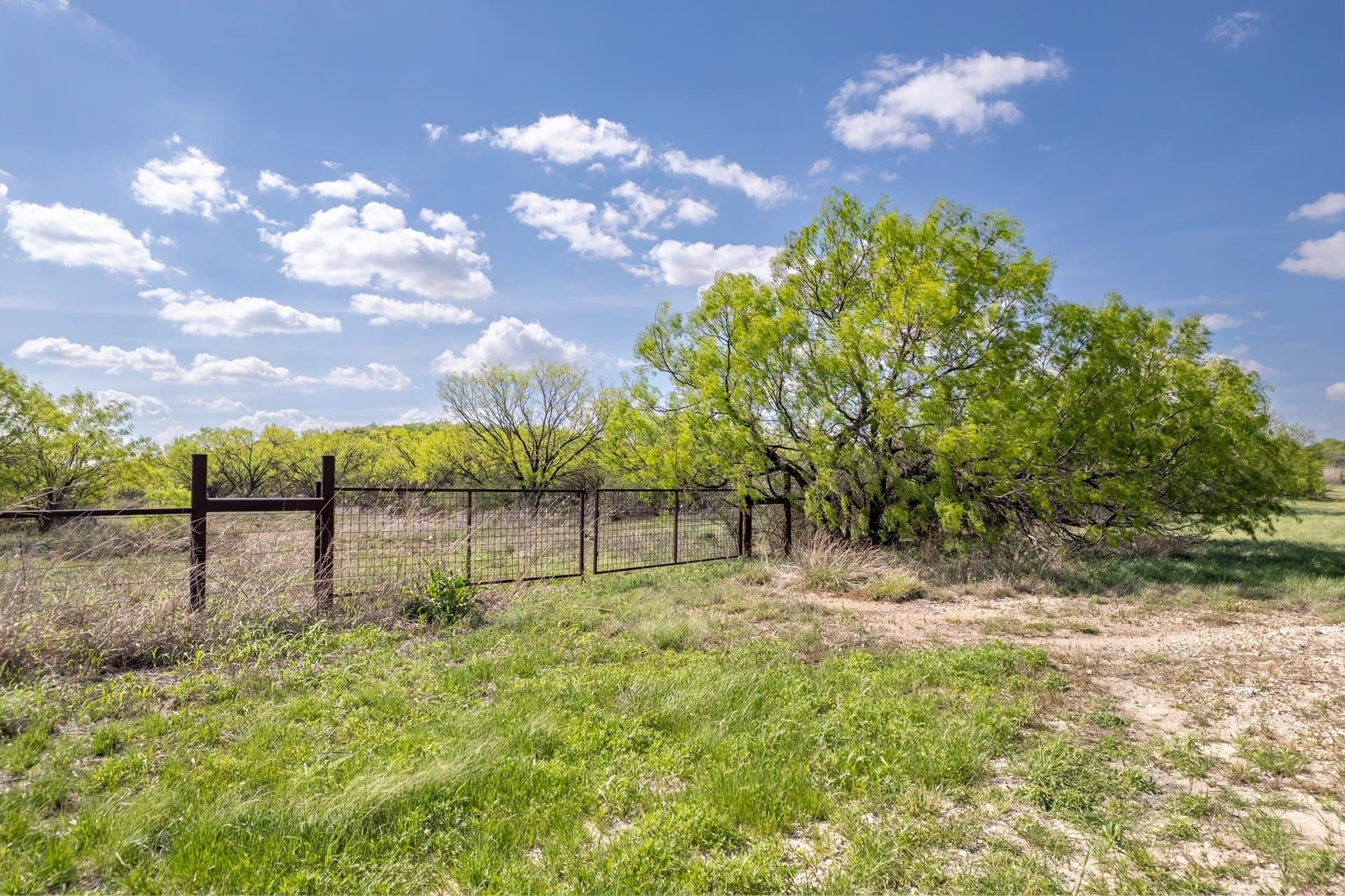 55 acres in Coleman County - photo 16