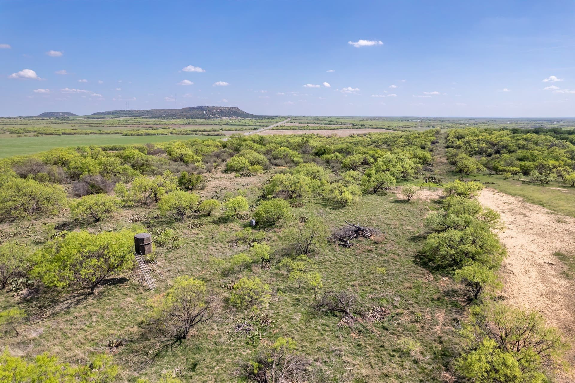 55 acres in Coleman County - photo 6