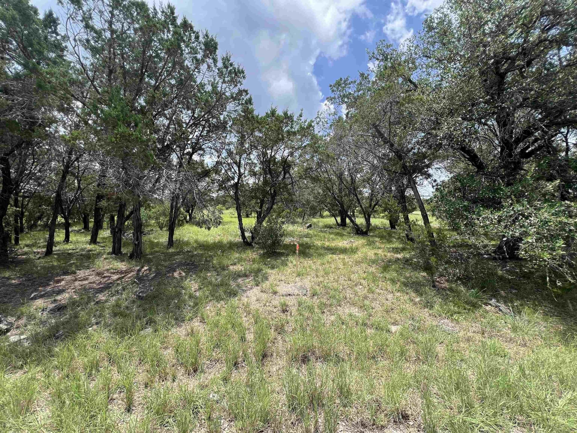 0.25 acres in Burnet County gallery image 3