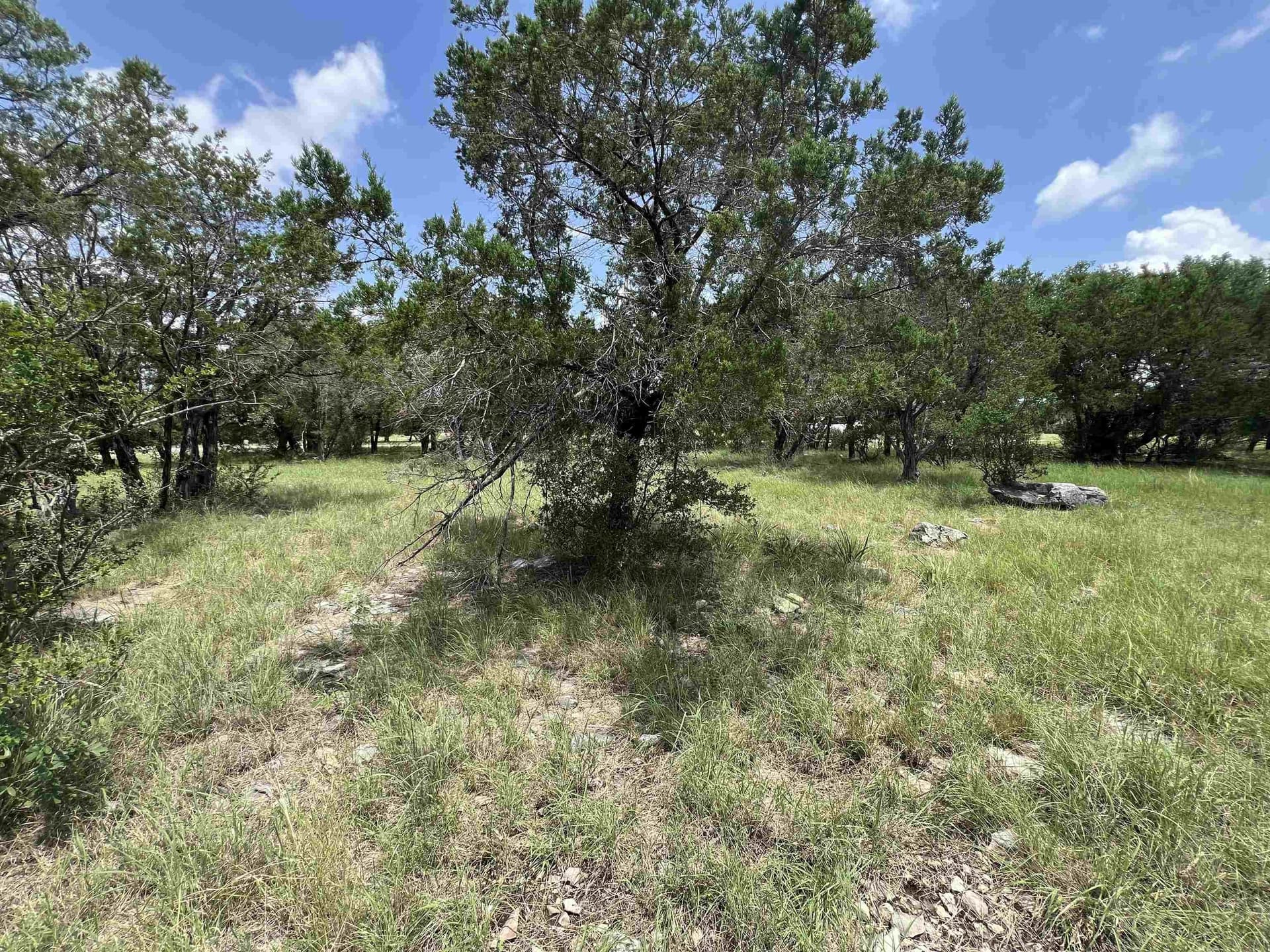 0.25 acres in Burnet County - photo 8