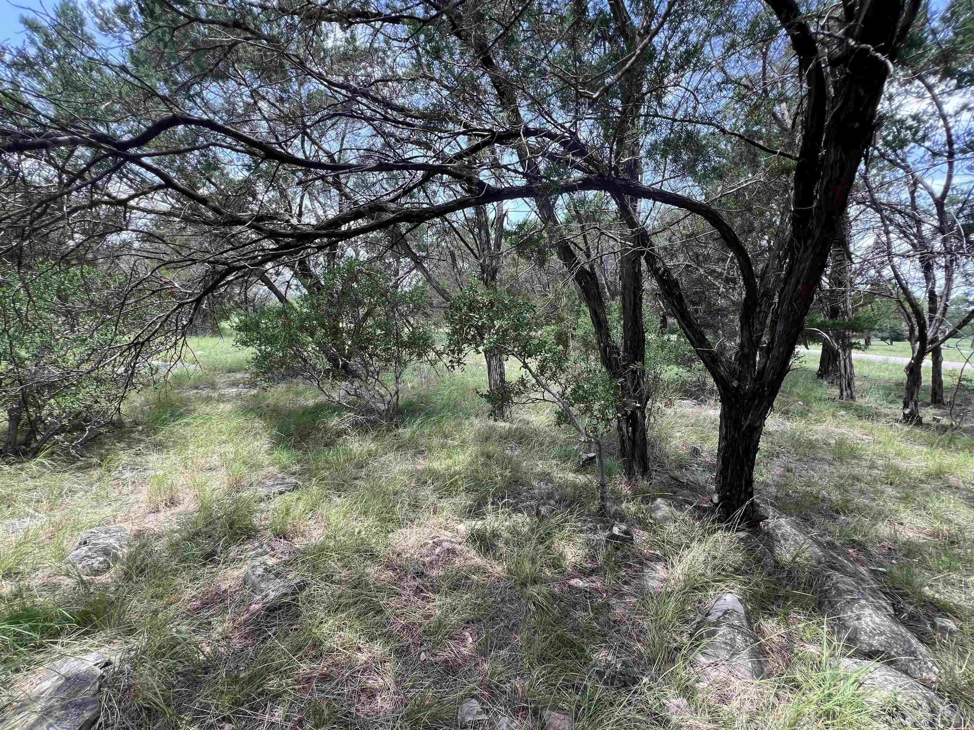 0.25 acres in Burnet County - photo 11