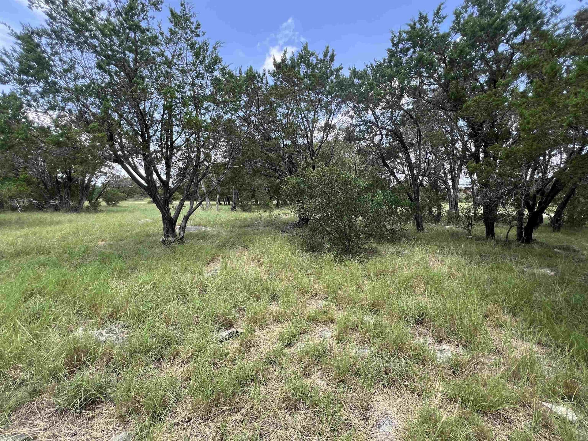 0.25 acres in Burnet County - photo 10