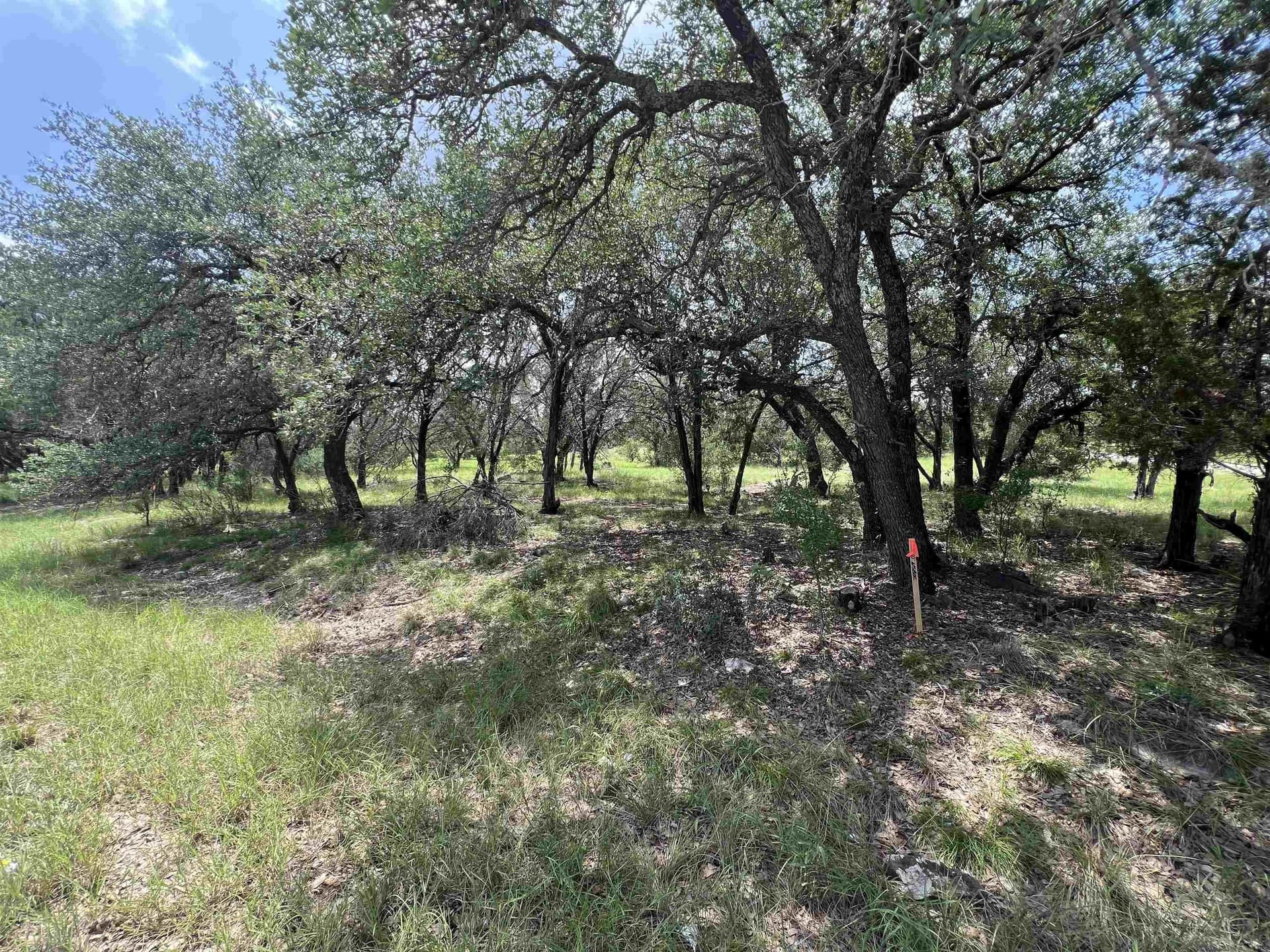 0.25 acres in Burnet County gallery image 4