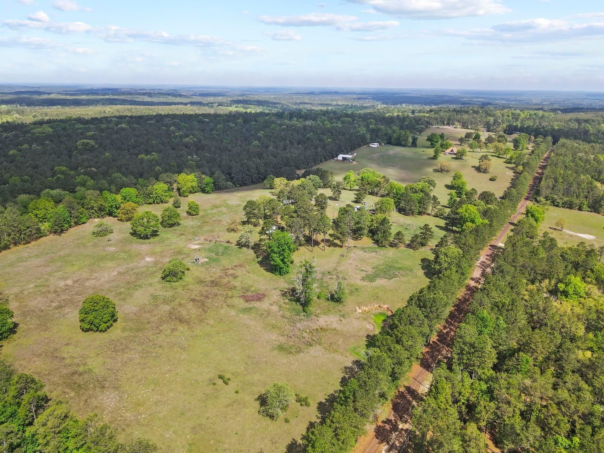 20 acres in Tyler County gallery image 3