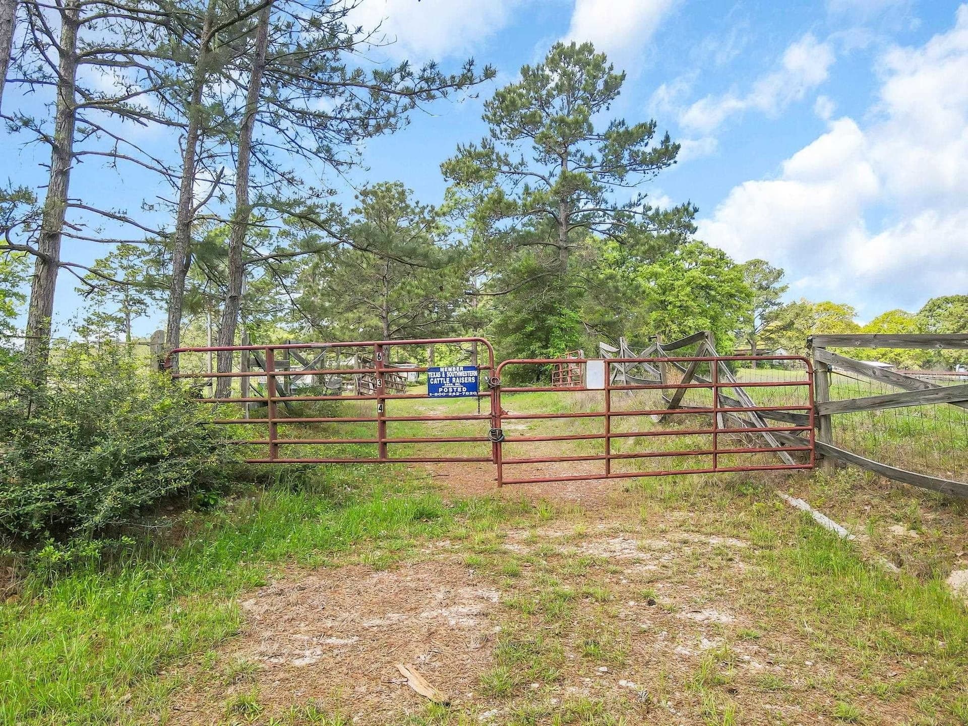 20 acres in Tyler County gallery image 2