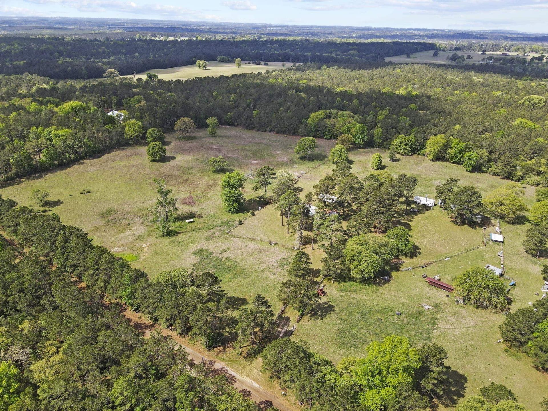 20 acres in Tyler County gallery image 4