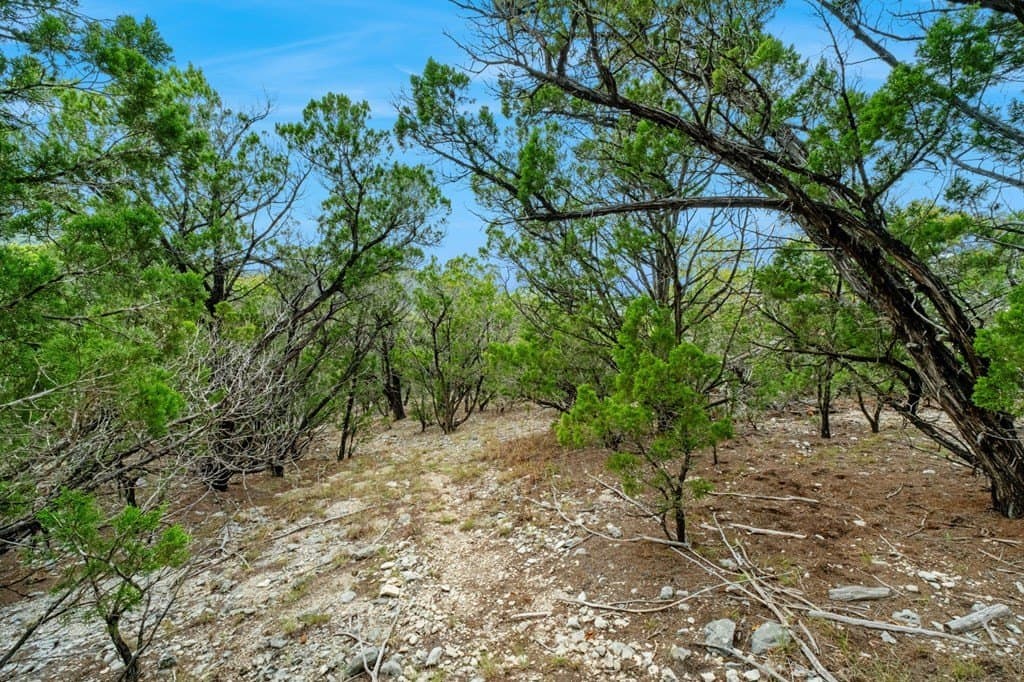 30.43 acres in Bandera County - photo 51