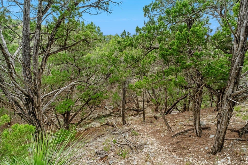 30.43 acres in Bandera County - photo 43