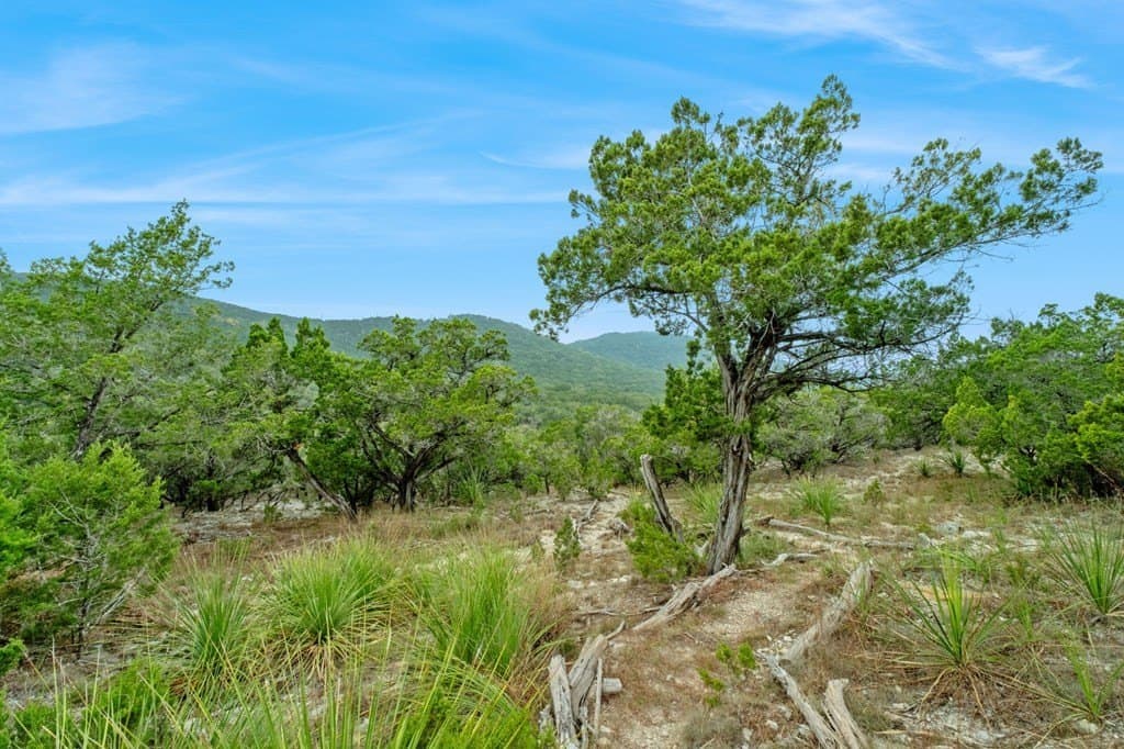 30.43 acres in Bandera County - photo 47