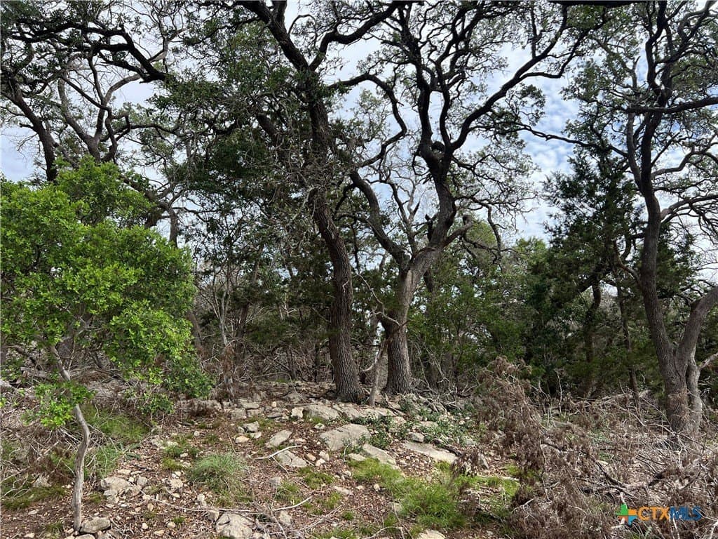 18.73 acres in Blanco County featured view