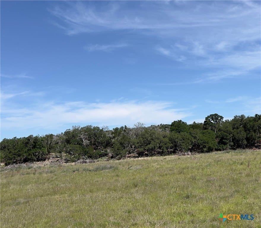 18.73 acres in Blanco County gallery image 4