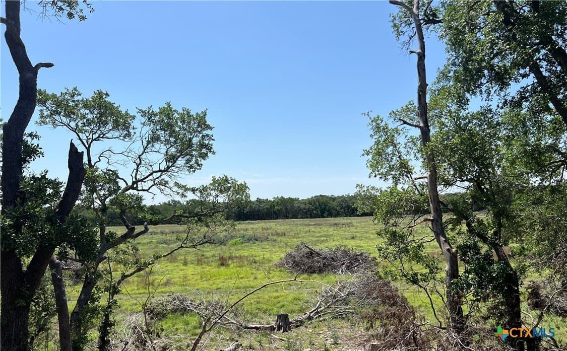 18.73 acres in Blanco County gallery image 2
