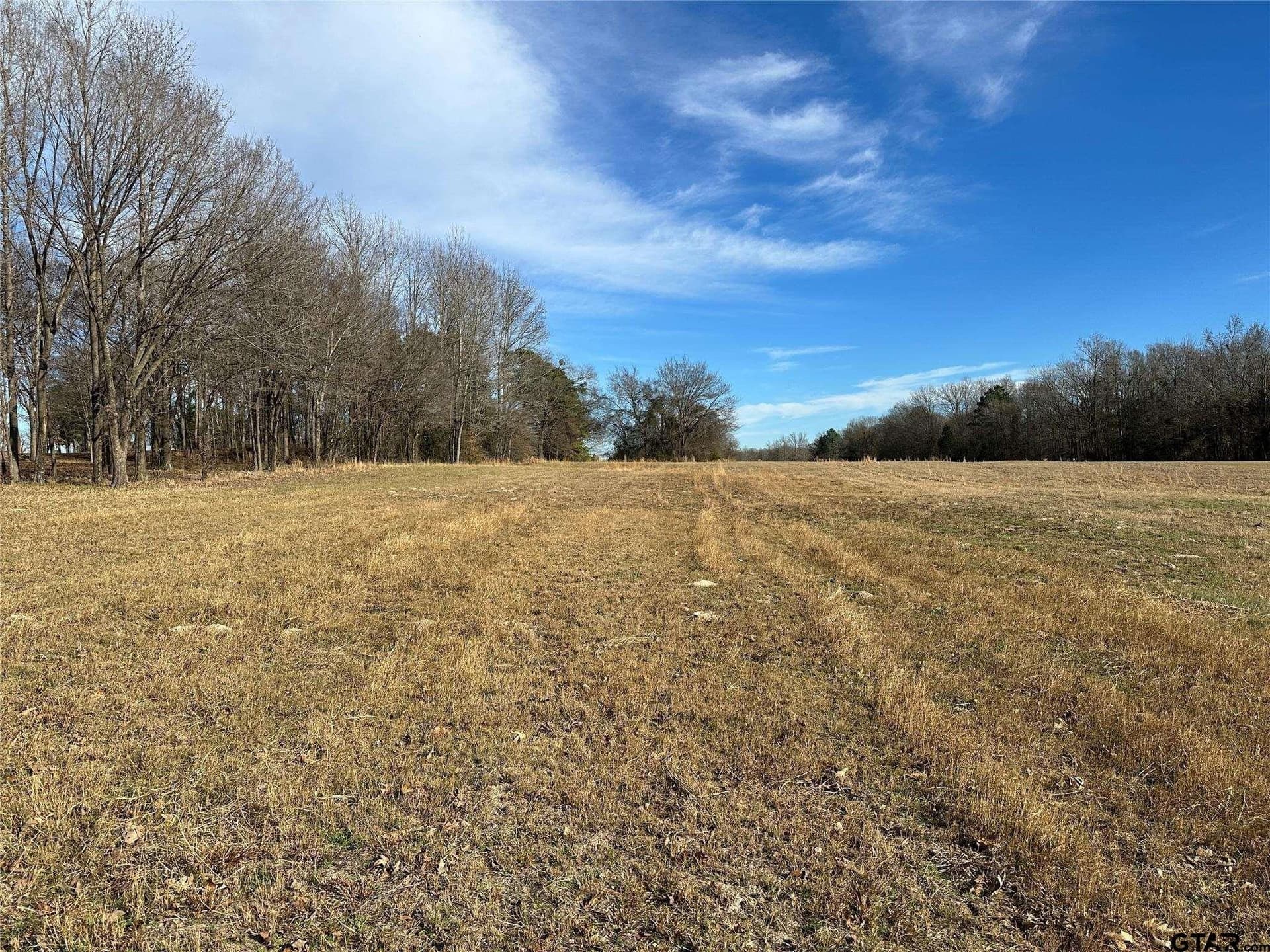 10.49 acres in Hopkins County gallery image 4