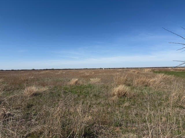10.01 acres in Young County - photo 6