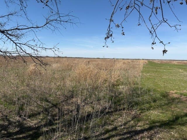 10.01 acres in Young County - photo 4