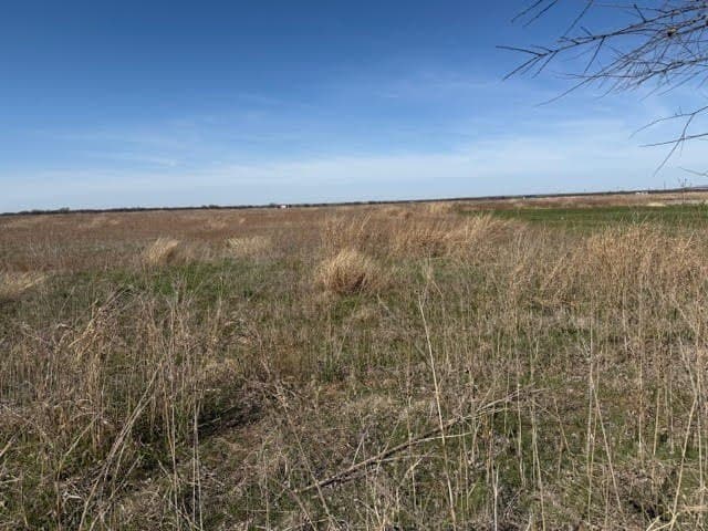 10.01 acres in Young County - photo 5