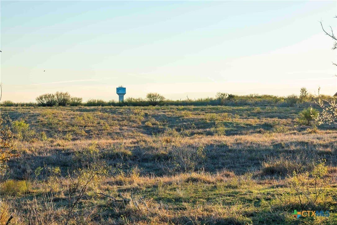 262 acres in Williamson County gallery image 3