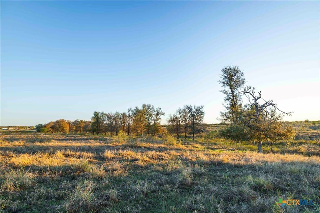 262 acres in Williamson County gallery image 2