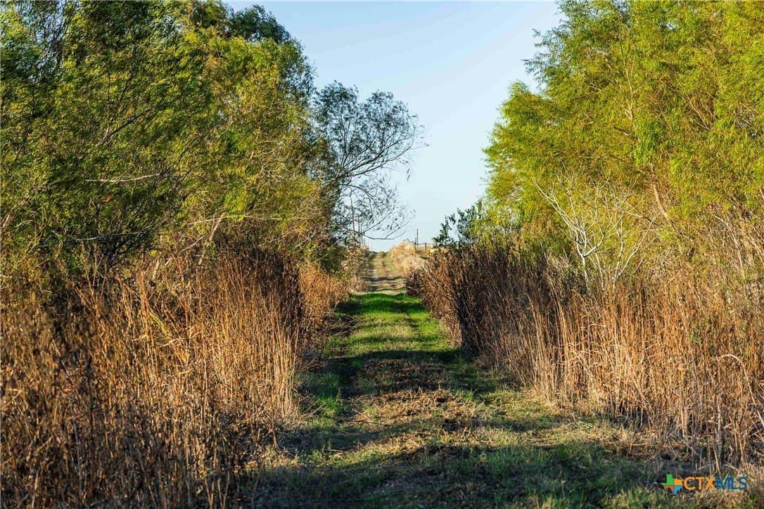 262 acres in Williamson County - photo 7